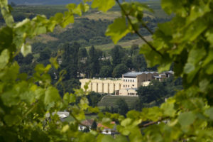 Oremus bodega